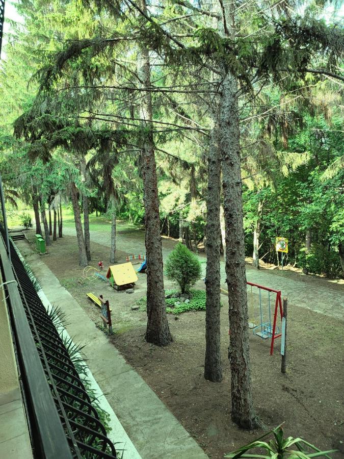 Park Hotel Briz ゴールデンサンド エクステリア 写真